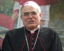 Mons. Demetrio Fernández.
