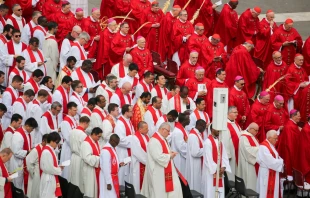 Cardenales, obispos y sacerdotes, portando ramos de palma, se reunieron para la Misa del Domingo de Ramos en la Plaza de San Pedro, el 13 de abril de 2025. Crédito: Bénédicte Cedergren/EWTN News.