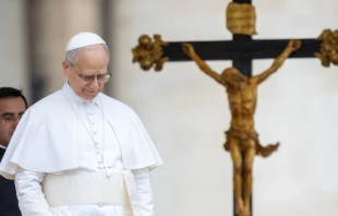 El Papa León XIV. Crédito: Daniel Ibañéz/ EWTN News