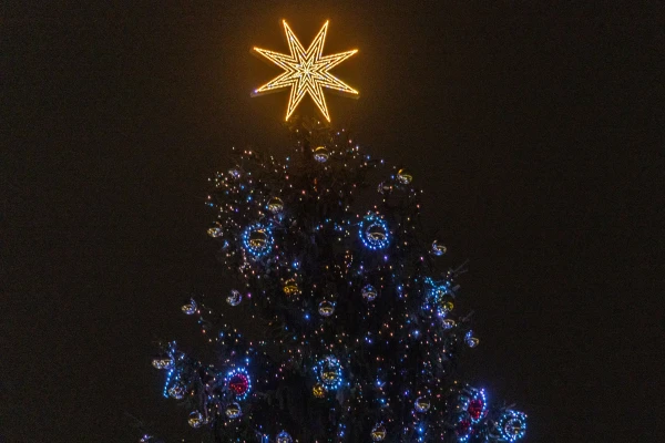 El abeto mide 27 metros. Crédito: Daniel Ibañez/ EWTN News