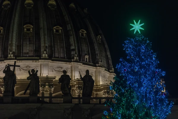 Tras las fiestas navideñas el abeto será destinado a la elaboración de aceites esenciales,. Crédito: Daniel Ibañez/ EWTN News