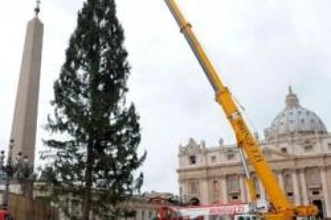 Ucrania ofrece árbol de Navidad para Plaza de San Pedro 
