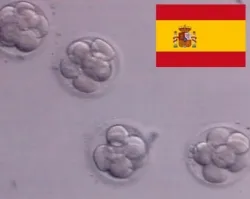 Obispo de Alcalá: Reproducción asistida es un ataque a la familia