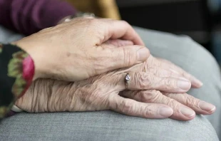 Imagen referencial. Cru00e9dito: Pixabay. 