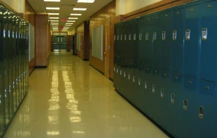 Imagen referencial. Cru00e9dito: Pixabay. 