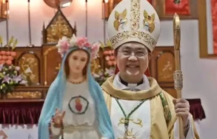 Mons. Peter Shao Zhumin. Cru00e9dito: Asia News. 
