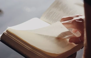 Imagen referencial. Cru00e9dito: Jessica delp eI / Unsplash. 