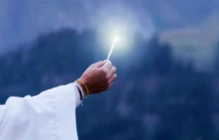 Cru00e9dito: Bosco Films. 