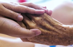 Imagen referencial. Cru00e9dito: Pixabay. 