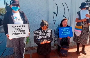 Voluntarios de 40 Días por la Vida en Bogotá (Colombia). Crédito: Eduardo Berdejo (captura de video).
