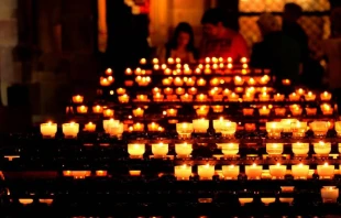 Imagen referencial. Cru00e9dito: Holger Schuu00e9 /uso gratuito 