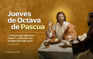 null Jueves de la Octava de Pascua 2025 / ACI Prensa