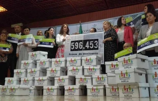 Presentaciu00f3n de firmas en la Cu00e1mara de Diputados. Foto: Frente Nacional por la Familia. 