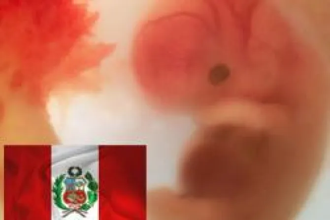 CEDAW no puede obligar al Perú a aprobar aborto, advierte pro-vida