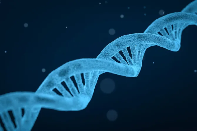 Intervenciones sobre genoma de embriones son el “mayor ataque a la persona en el siglo XXI”