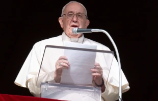 El Papa Francisco en el u00c1ngelus de este domingo. Cru00e9dito: Vatican Media 