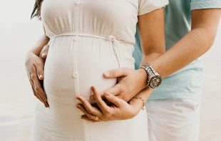 Imagen referencial. Cru00e9dito: Pexels 