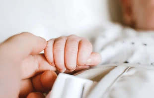 Imagen referencial / Cru00e9dito: Pexels 