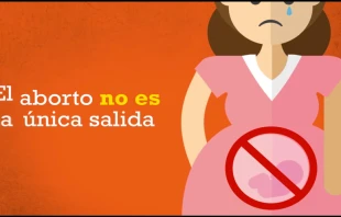 Foto: Captura de video / Nadie Sobra. 