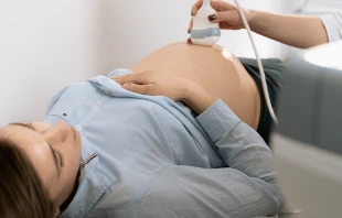 Imagen referencial | Cru00e9dito: Pexels 