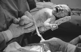 Imagen referencial / Cru00e9dito: Pexels 