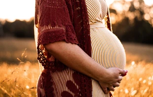 Imagen referencial. Cru00e9dito: Unsplash. 