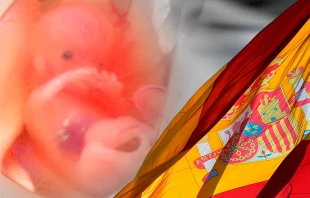 Aborto Espau00f1a / Foto: Suparna Sinha - GiladRom (CC-BY-SA-2.0)-(CC-BY-SA-3.0) 