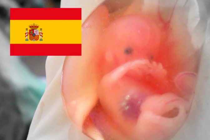 Derecho a Vivir reclama al PP exponer líneas claras contra el aborto en elecciones europeas