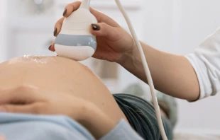 Imagen referencial / Cru00e9dito: Pexels 