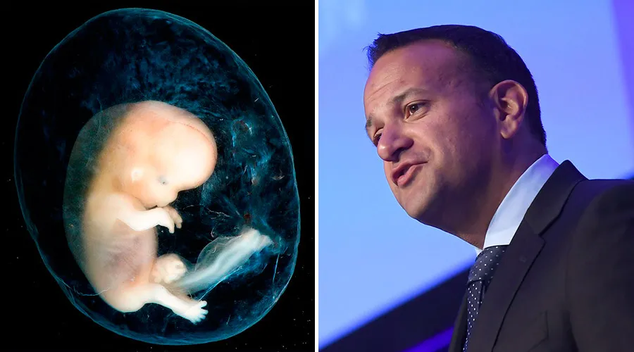 Embrión de 8 a 10 semanas (izquierda) - Crédito: Steven O'Connor, M.D., Houston Texasy; y el primer ministro de Irlanda, Leo Varadkar (derecha) - Crédito: Flickr de Money Cof (CC BY 2.0)