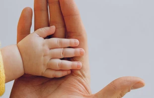 Imagen referencial / Cru00e9dito: Pexels 