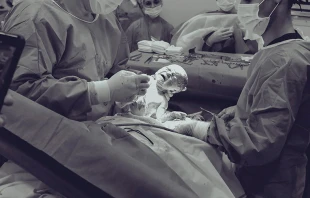 Imagen referencial / Cru00e9dito: Pexels 