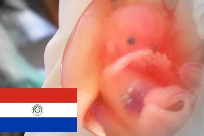 Arzobispo paraguayo: Grupos pequeños quieren imponer aborto usando como excusa la pobreza
