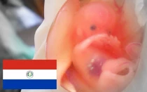 Imagen referencial. Foto: Suparna Sinha (CC-BY-SA-2.0)