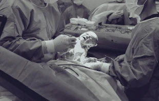 Imagen referencial / Cru00e9dito: Pexels 