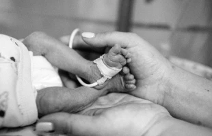 Imagen referencial. Cru00e9dito: Shutterstock 