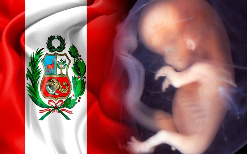 Médicos del Perú dan un no rotundo al protocolo del aborto terapéutico