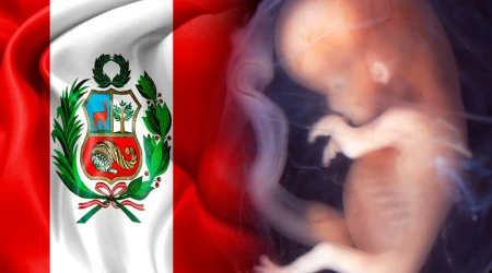 Mu00e9dicos del Peru00fa dan un no rotundo al protocolo del aborto terapu00e9utico