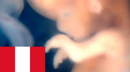 Perú: Expertos dan seis argumentos para rechazar el protocolo de aborto terapéutico