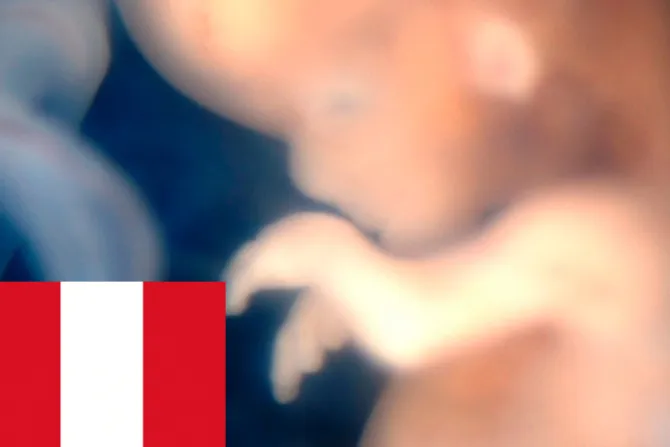 Perú: Expertos dan seis argumentos para rechazar el protocolo de aborto terapéutico