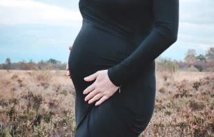 Imagen referencial / Cru00e9dito: Pexels 