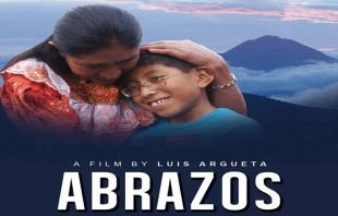 Afiche del documental. 