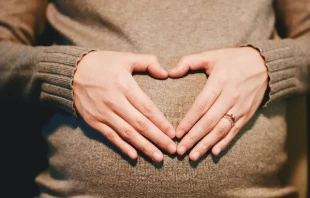 Imagen referencial. Cru00e9dito: Pixabay 