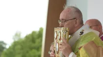 Papa Francisco en Dublín (2018) / Crédito: Daniel Ibañez - ACI Prensa