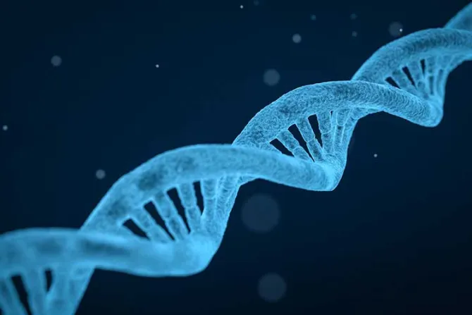 Expertos en bioética responden ante importantes avances en modificación genética