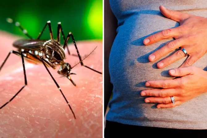 El virus del zika y las embarazadas: ¿Es el aborto la solución?