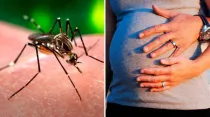 El mosquito Aedes aegypti. Foto Wikipedia - dominio público / Mujer embarazada. Foto Pixabay-dominio público