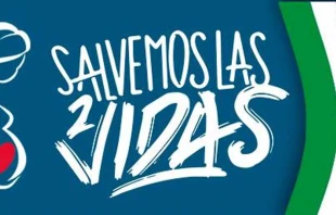 Afiche promocional de Salvemos las 2 Vidas Mu00e9xico. 
