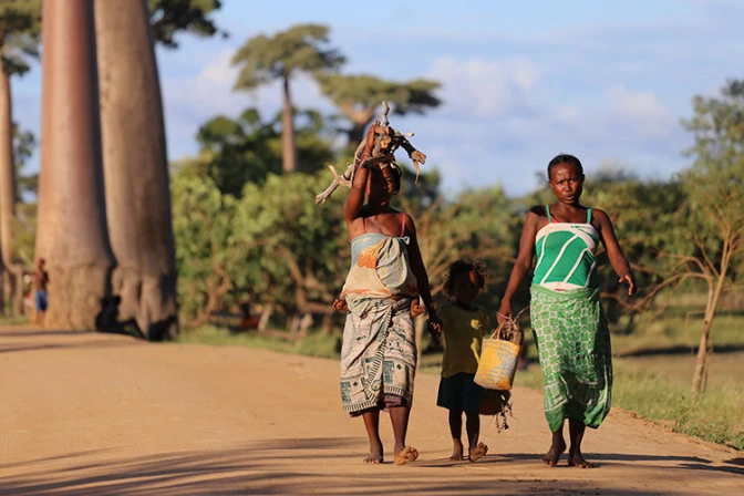 Obispos de Estados Unidos destinan 1.4 millones de dólares para la Iglesia en África 