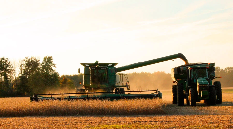 Trabajos agrícolas. Foto: Pixabay?w=200&h=150